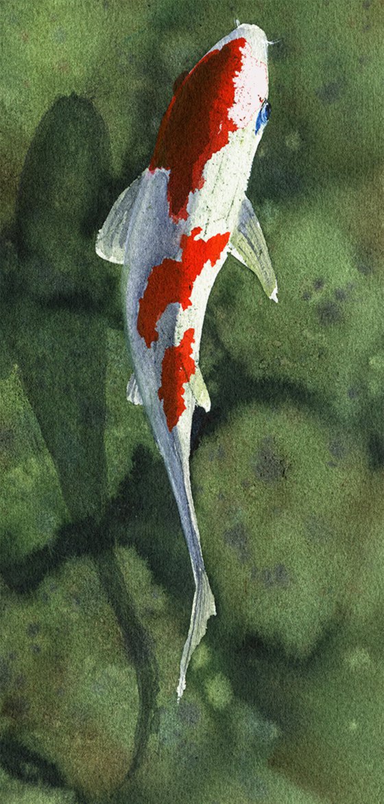 Koi carps in the pond original watercolor painting, stones in water, green water, fish artwork, photorealistic, wall art
