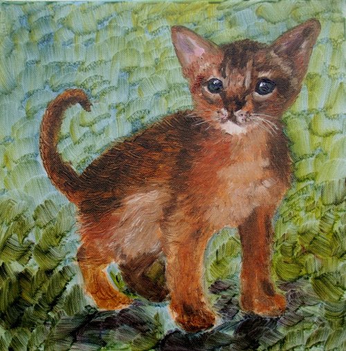 Kitten by Elena Sokolova