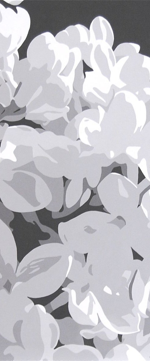 French White Lilac by Susan Porter