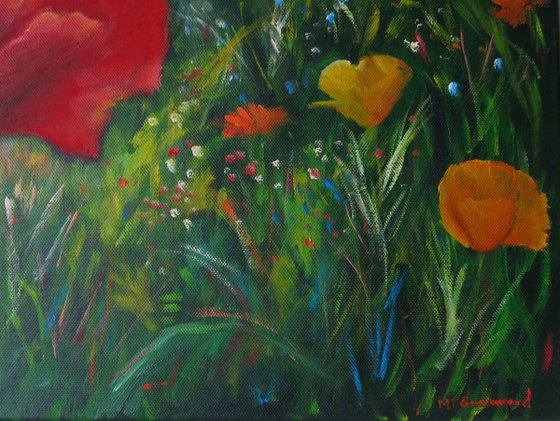 Poppies Galore
