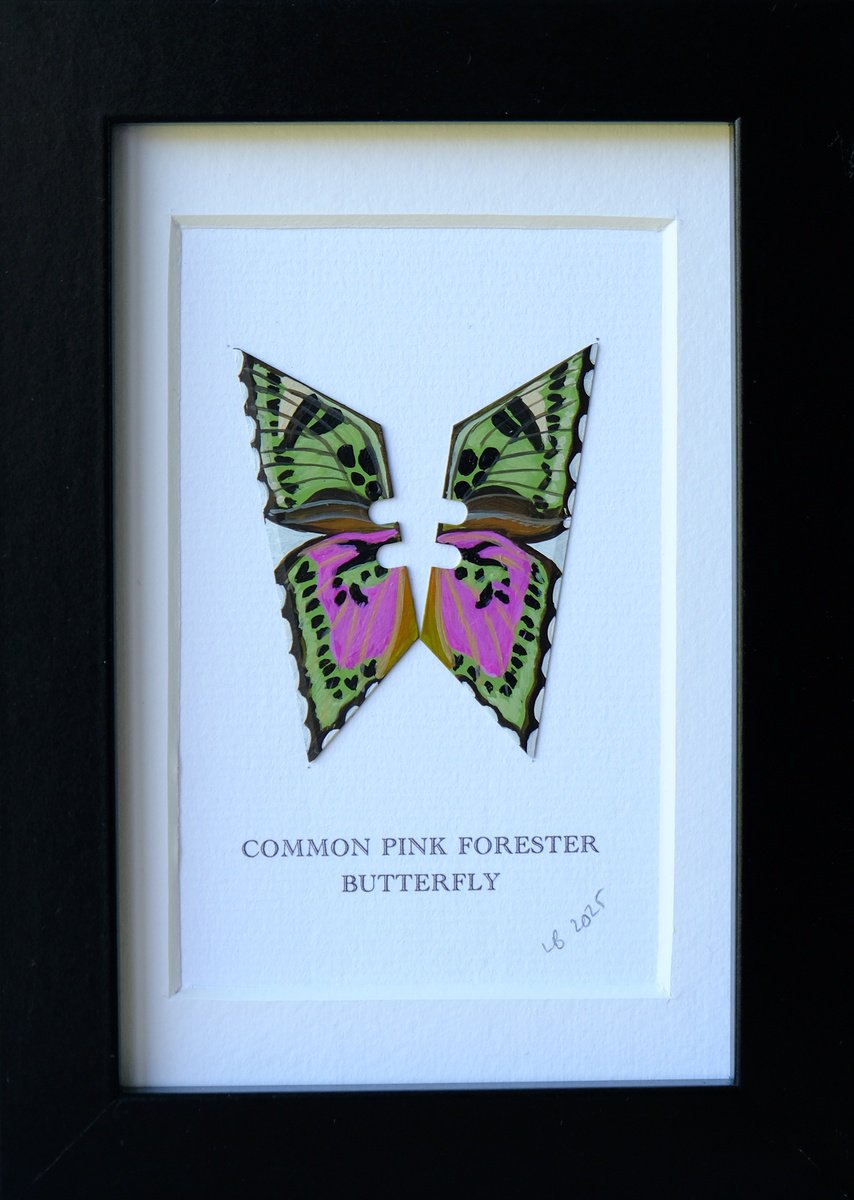 Photorealistic Collage , Common Pink Forester By Lene Bladbjerg, 5 X 7, Artwork For Sale On Artfinder