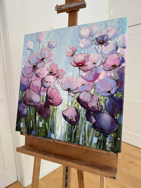 Poppies Land 16