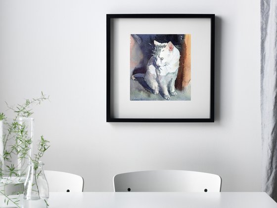 CAT WHITE