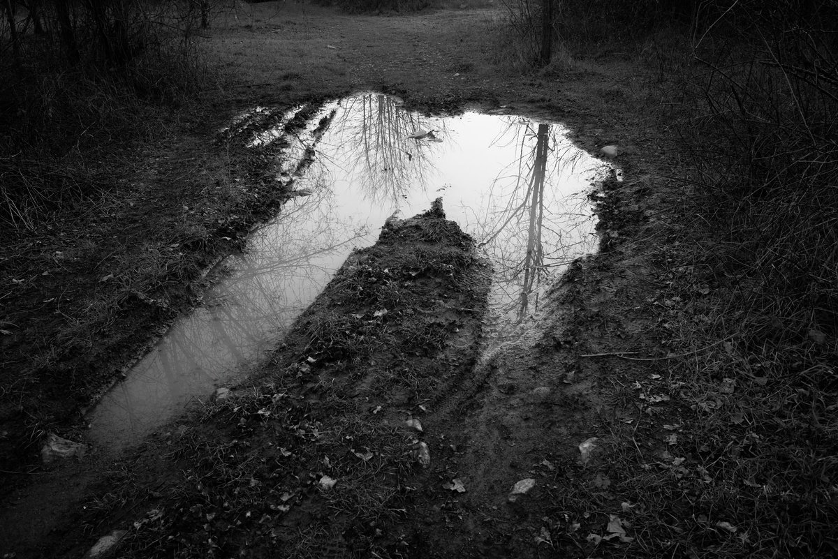 Puddle by stefano azario