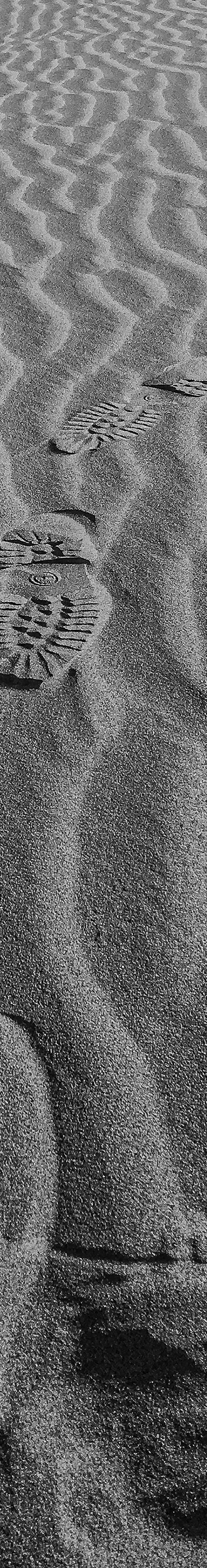 TRACKS ON THE SAHARA by Fabio Accorrà