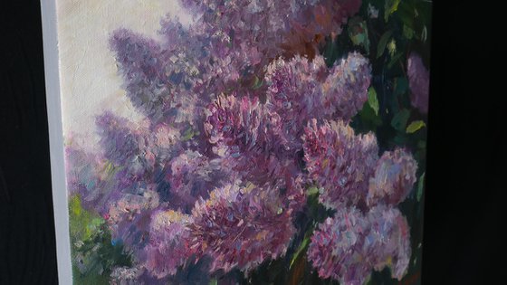 Sunny Lilacs - Lilacs painting