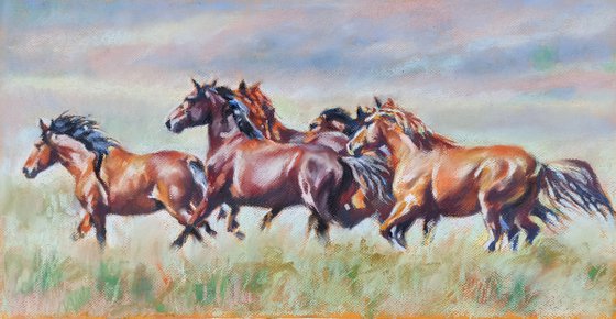 Flock of wild horses