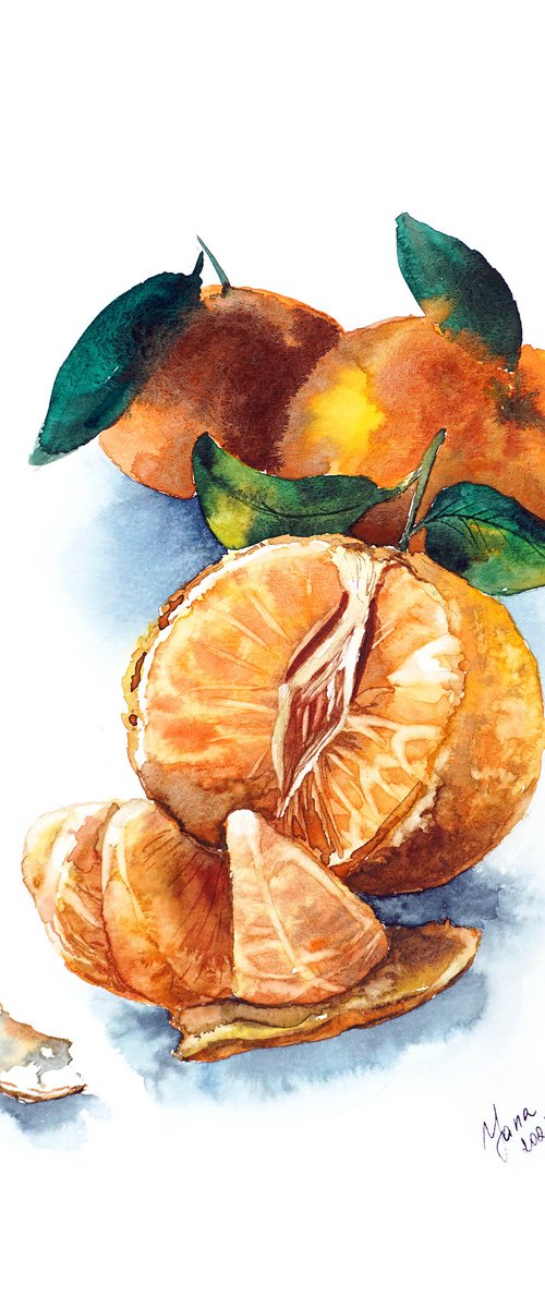 ORIGINAL Watercolor Painting of Tangerines | Colorful Oranges | Food Art | Kitchen Home Decor by Yana Shvets