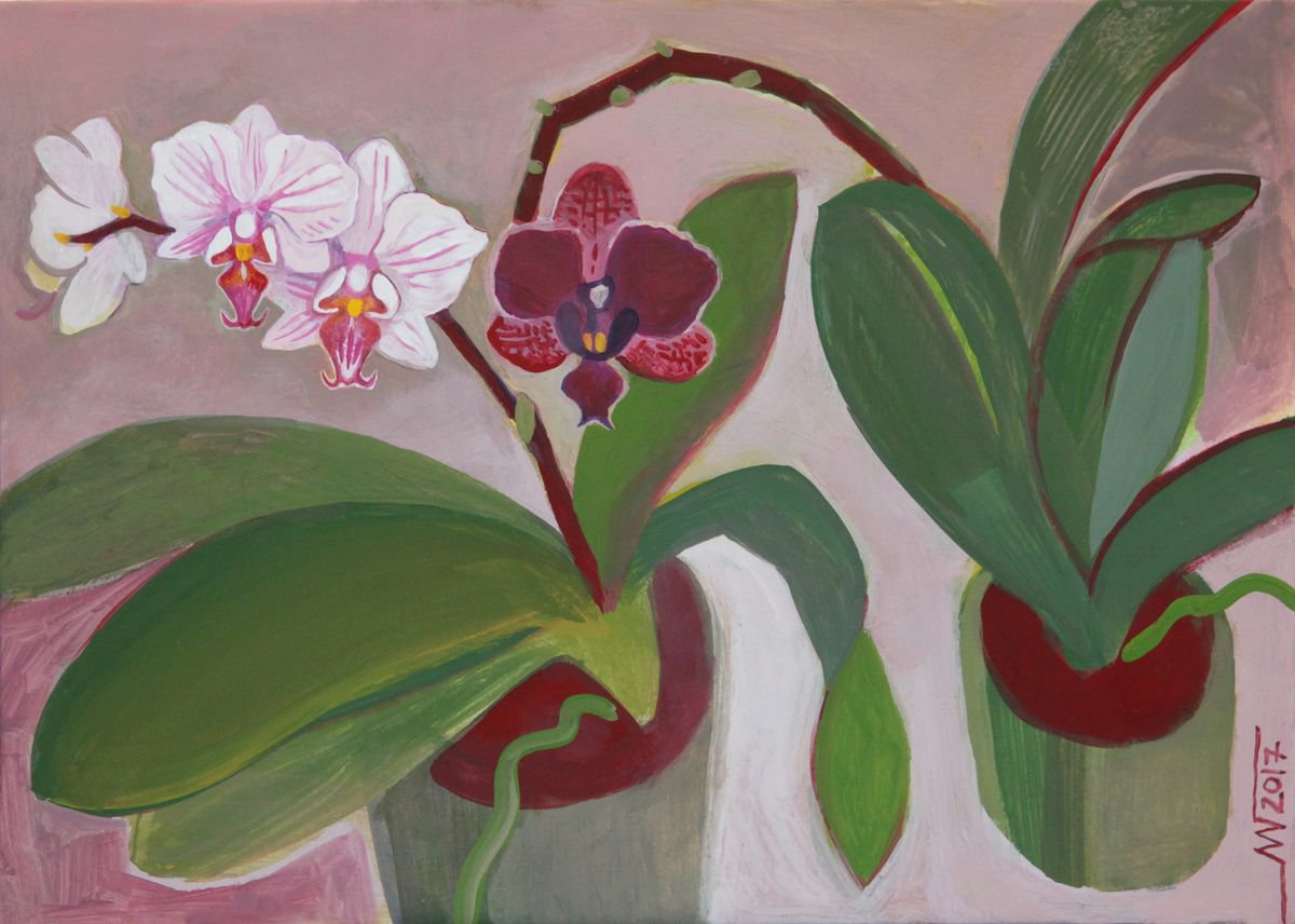 Orchids by Marina Gorkaeva