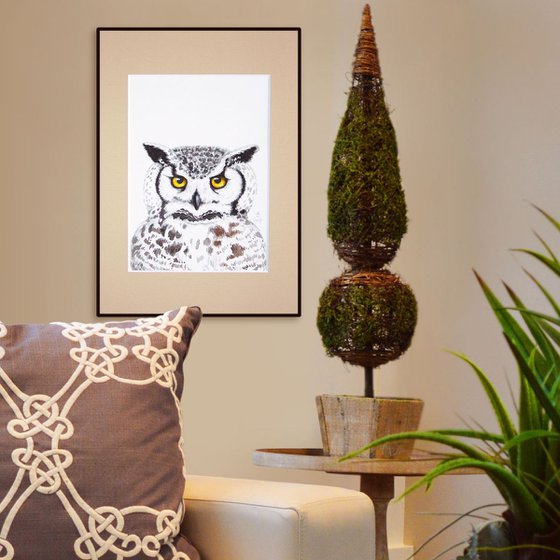 Little owl * free shipping *