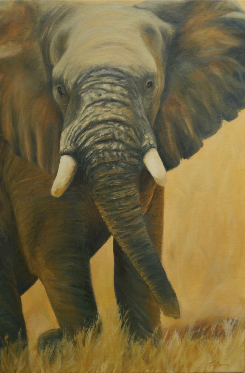 Photorealistic Animal Oil Painting By Tony Berriman, 20 X 28", A Walk In The Sun, Original Artwork