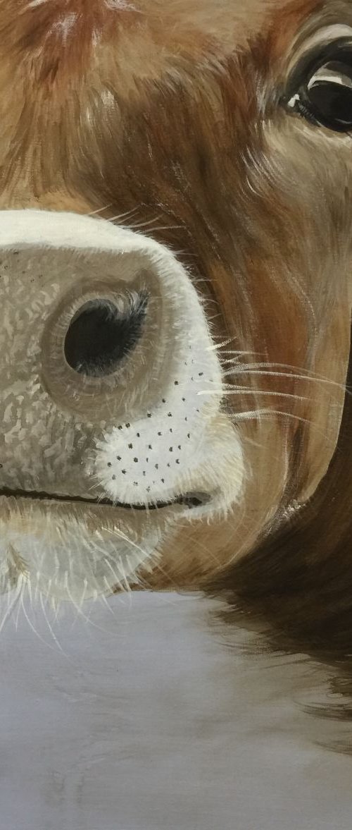 Jersey by Amanda Lakin Art