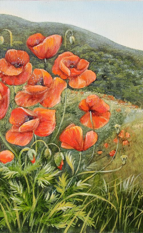 Poppies by Elina Vetrova