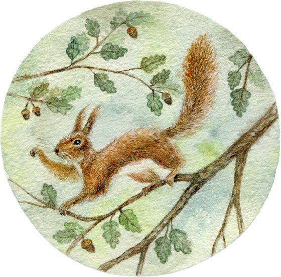 Watercolor squirrel