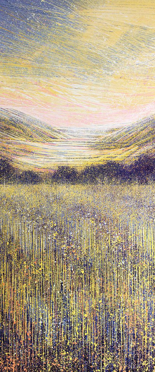 Meadow At Sunset by Marc Todd
