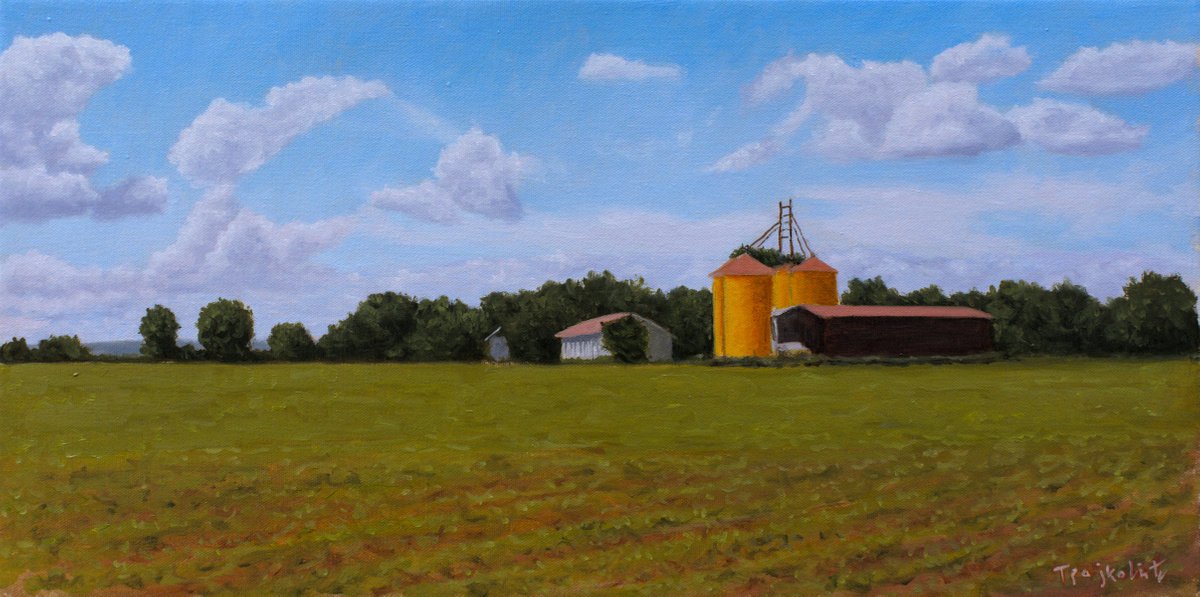 Impressionistic Landscape Oil Painting By Dejan Trajkovic, 28 X 17, Plain Ii, Original Artwork