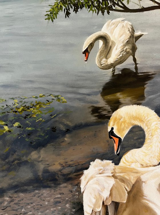 Swans at the Lake (50x40 cm)