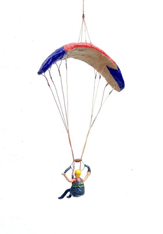 Paraglider