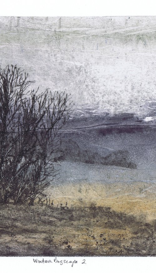Winter Bogscape 2 -  Ireland by Aidan Flanagan Irish Landscapes