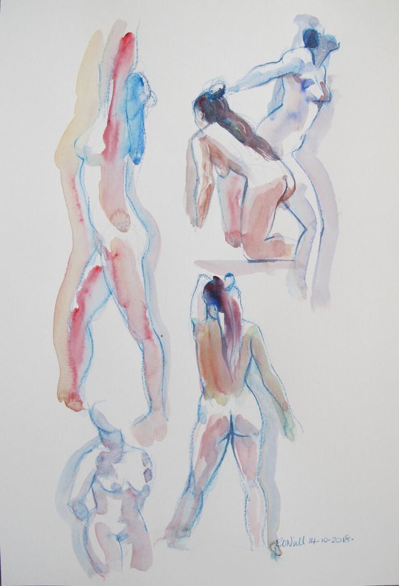 female nude in various poses