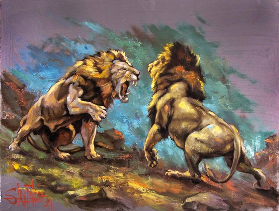 Lion battle