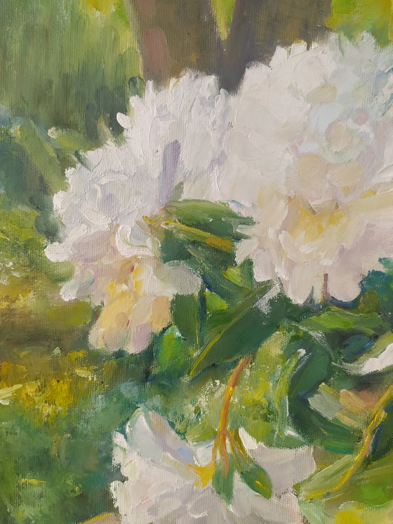 Peonies on the bench