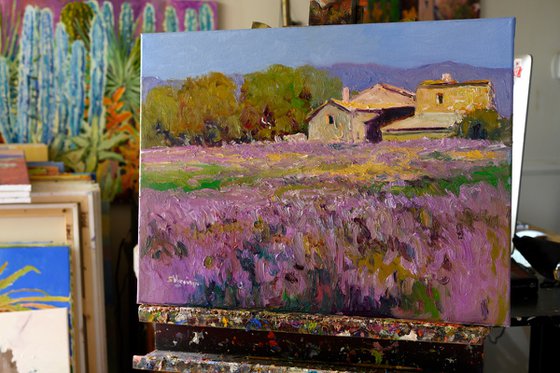 Lavender, French Village