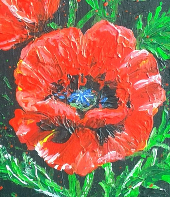 "Poppies on black"