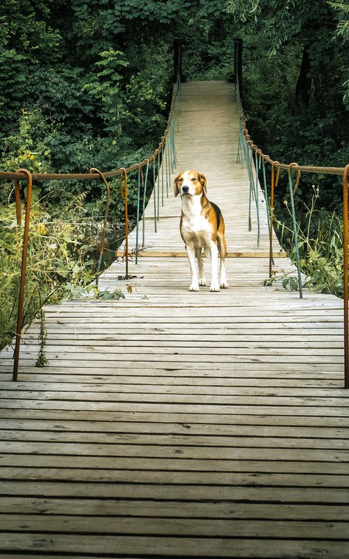 Waiting for a friend by Vlad Durniev