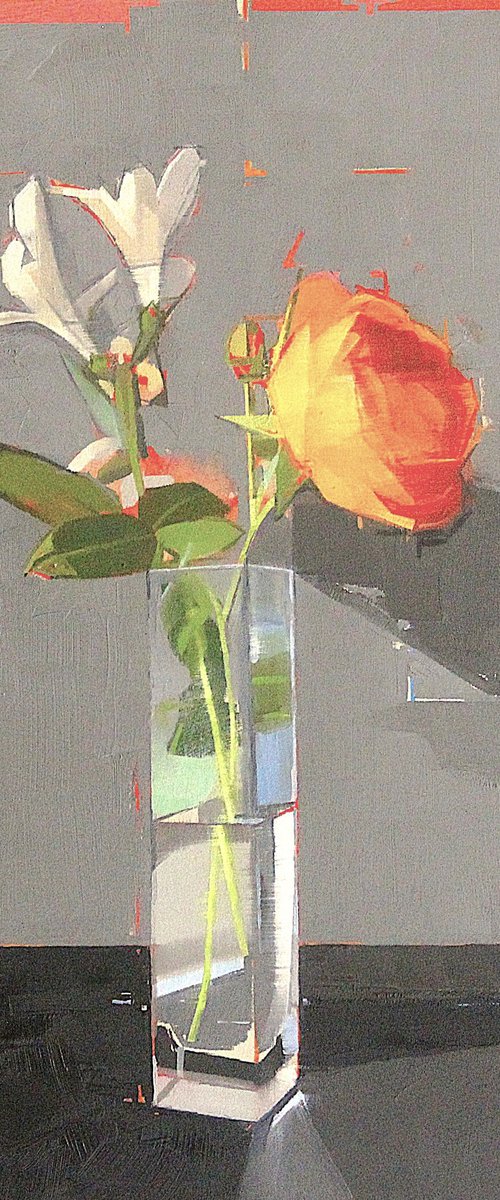 Rose Study 19 by Chris Kettle