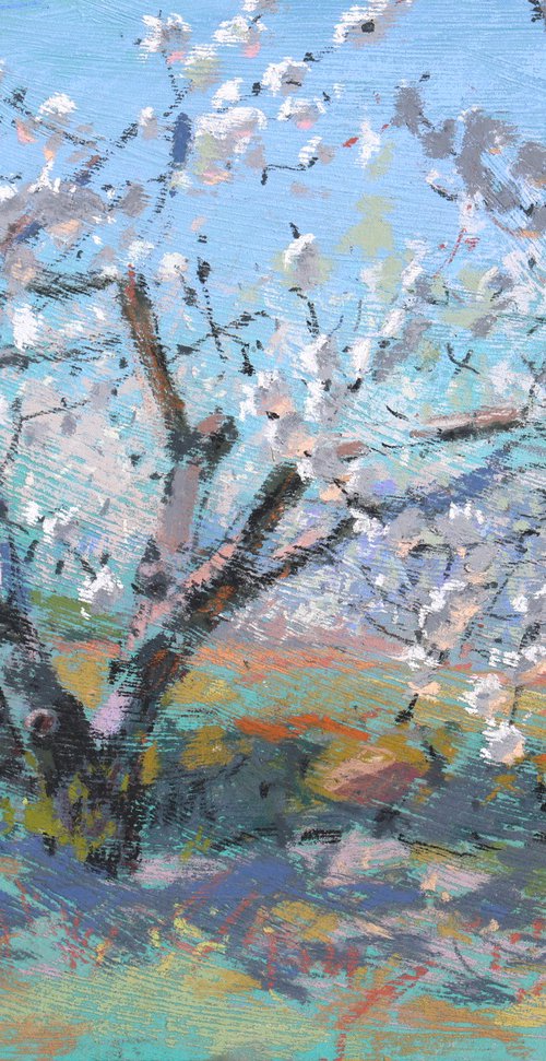 Blooming valley by Victoria Ramanovich
