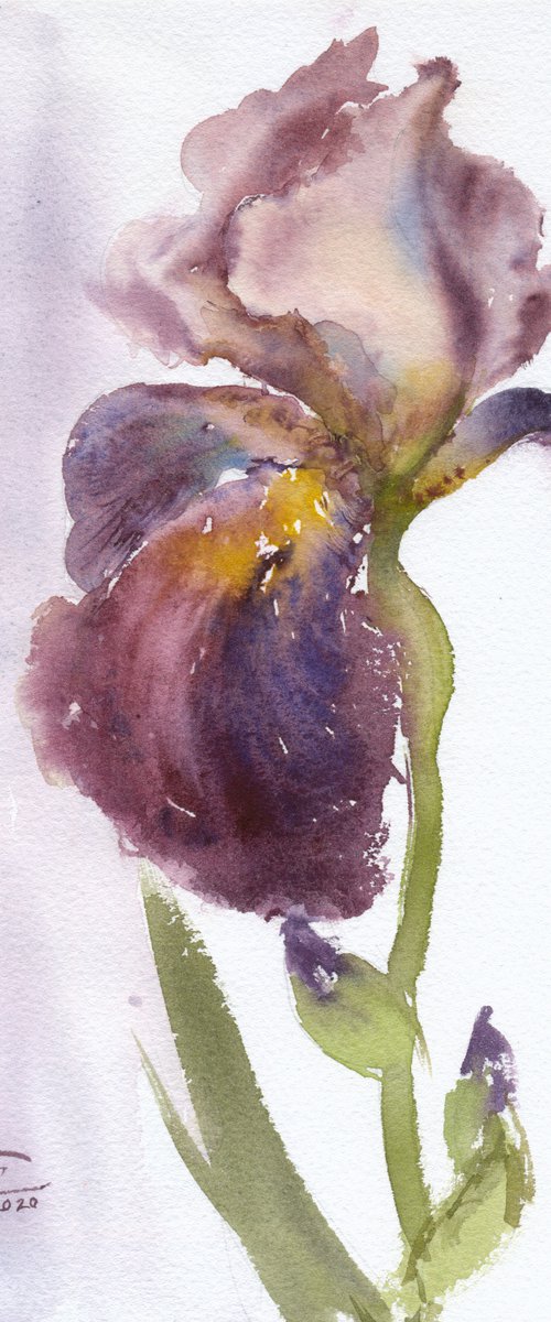 Purple iris. Tender flowers collection. by Tatyana Tokareva