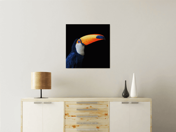 Toco Toucan Square