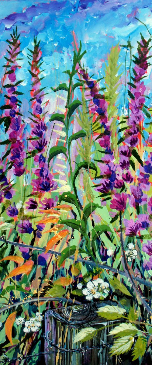 Purple Loosestrife and brambles and barbed wire by Julia  Rigby