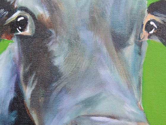 Cow painting green background