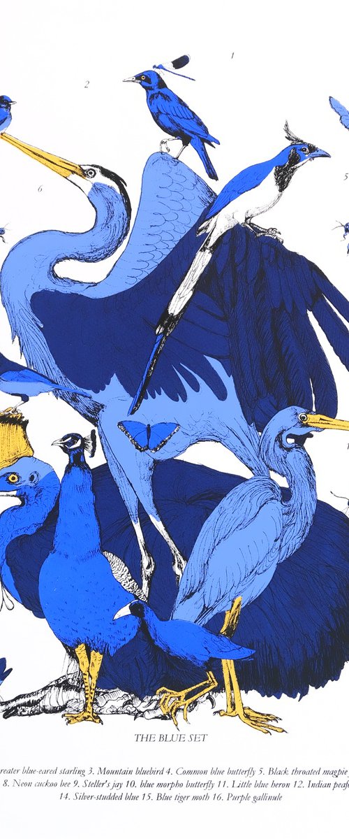 The Blue Set by Anna Walsh