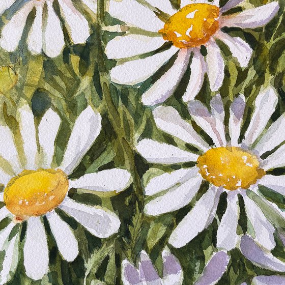Daisy Dance
