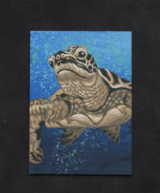 ACEO ATC Original Painting Wildlife Sea Turtle Ocean Art-Carla Smale