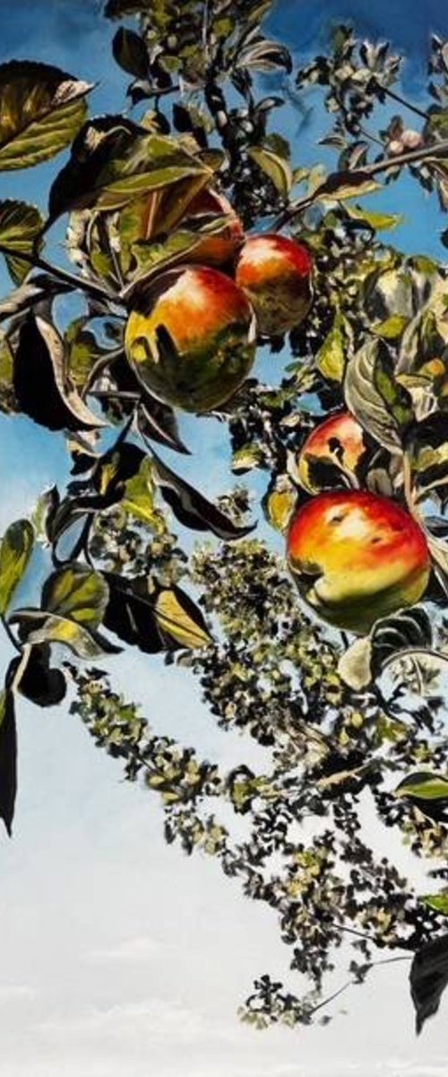 August Apples by Valeriia Radziievska