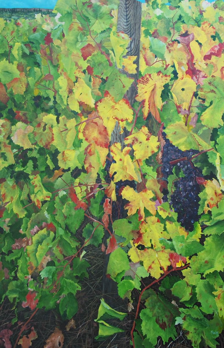 Magione Vineyard 4 By Steven Fleit, 24 X 36, Artwork For Sale On Artfinder