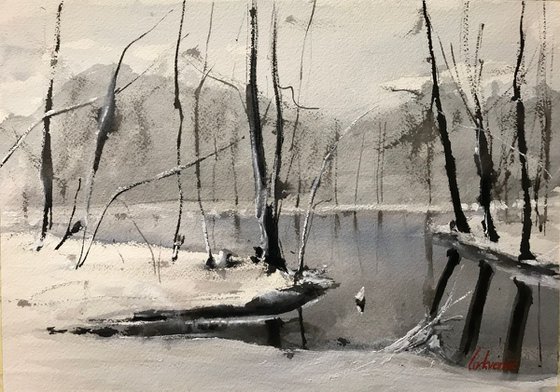 Winter on the lake