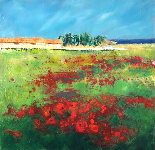 Poppies on Re Island by Dane