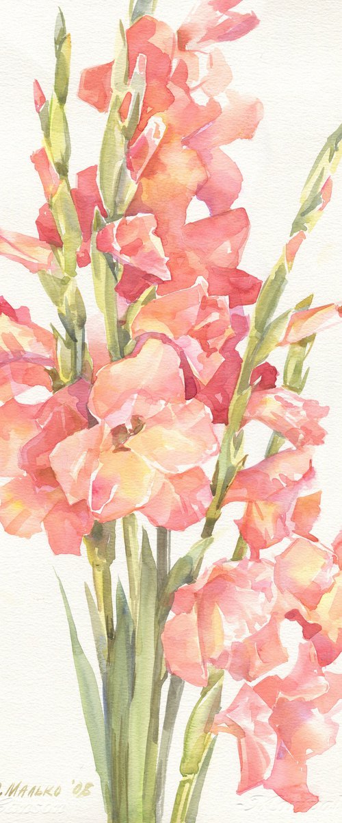 Coral Pink Gladioluses by Olha Malko