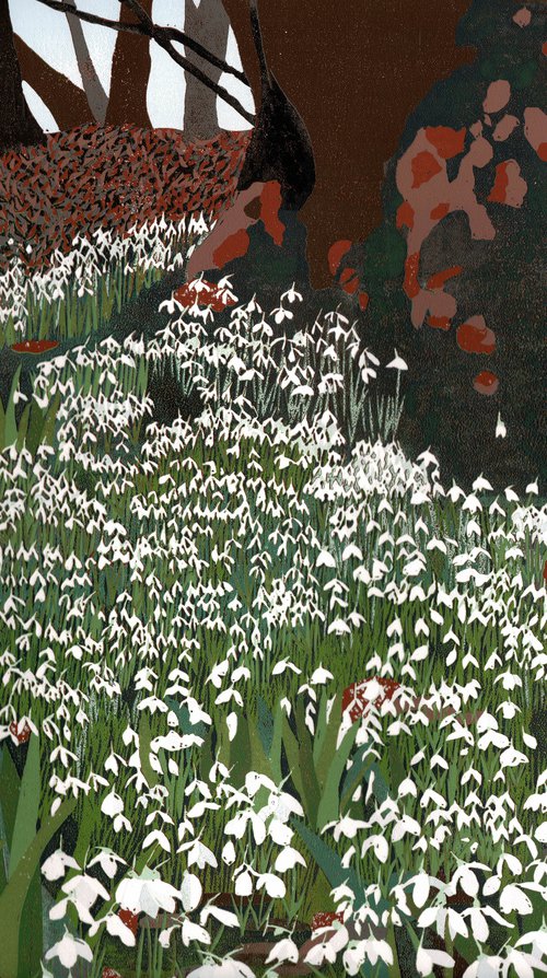 Snowdrop Woods by Joanne Spencer