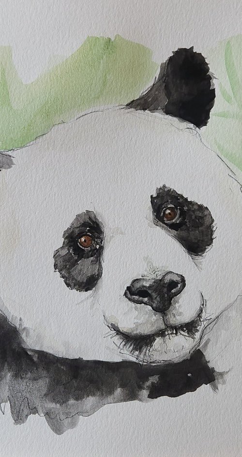 The Panda by Katrina Case