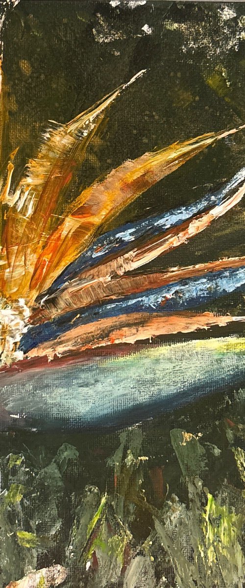 Magical Firebird by Lena Shults