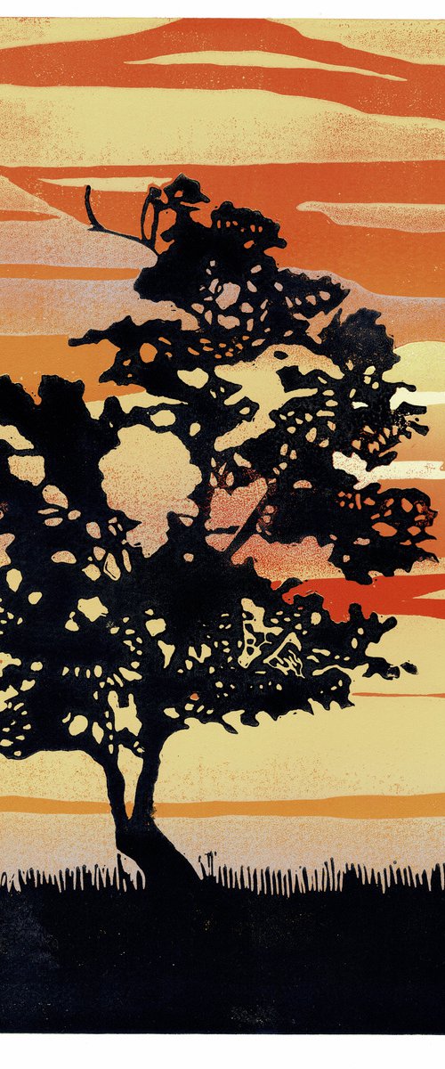 Lone Tree at Sunset by Joanne Spencer