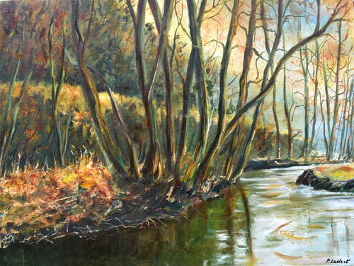 My little river by Pol Henry Ledent