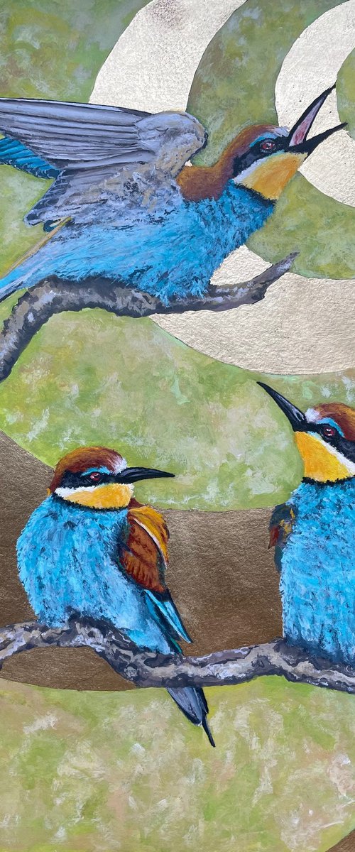 The Bee Eaters by Shayne McGirr