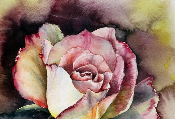 Dramatic Rose in Watercolor - ORIGINAL Painting Ready to Ship